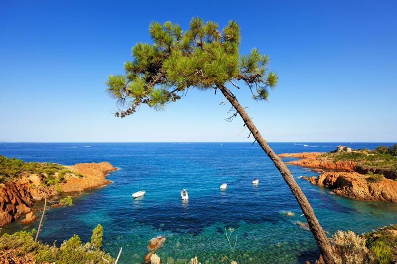 Location Estival Parfaite : A 50 Metres De La Plage, Offrant Magnifique Vue *